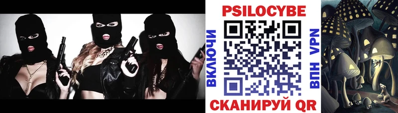 Псилоцибиновые грибы Psilocybe  хочу   Смоленск 