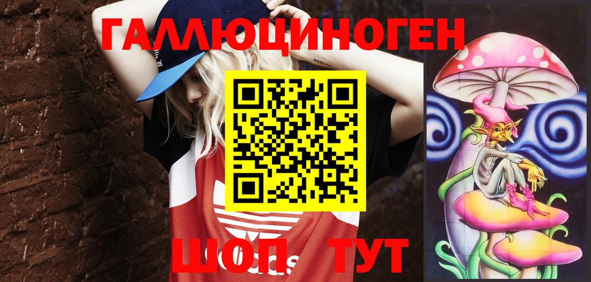 Галлюциногенные грибы Psilocybe Смоленск